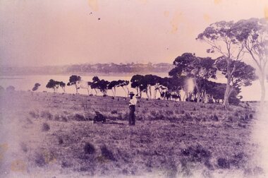 Photograph of two men lying in a paddock, c.1890s