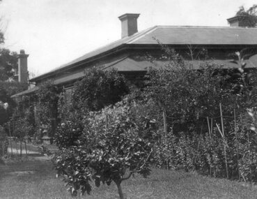 Photograph of Tynefield, Elwood