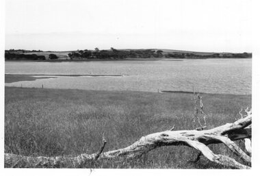 Photograph of pasture and inlet