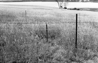 Photograph of landscape with wire fence, Unknown