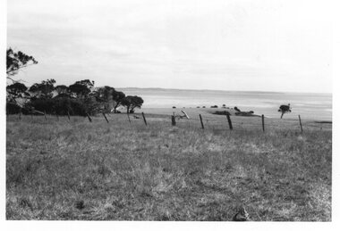 Photograph of pasture, Unknown