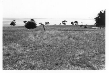 Photograph of a pasture, Unknown
