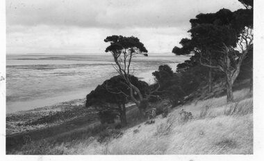 Photograph of the shoreline at Churchill Island, Unknown