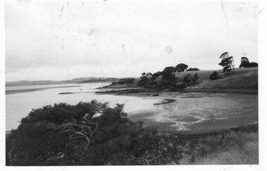 Photograph of Churchill Island shoreline, Unknown