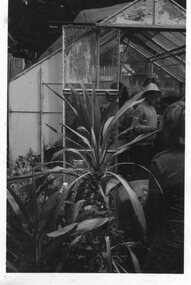 Photograph of a group of people in a greenhouse, Unknown