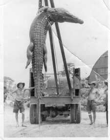 Photograph of Dr Harry Jenkins with friends and a crocodile, Unknown