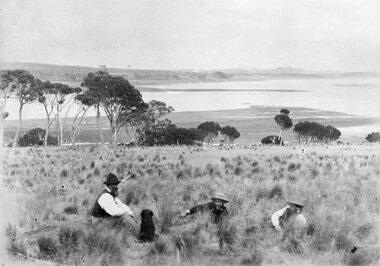 Photograph showing three men and a dog in a pasture, 19th century