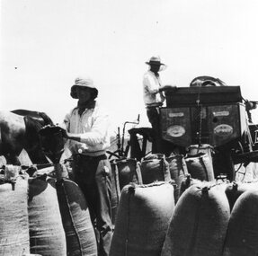 Photograph of two men filling sacks, Unknown