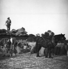 Photograph of men loading sacks onto cart, Unknown