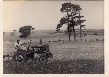 Ted Plowing with dog 'Jock', Unknown