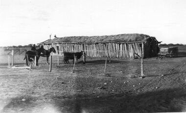 Photograph of horses and stable, Unknown