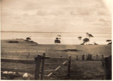 Photograph of view of shoreline, c.1940s