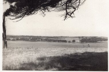 Photograph - Black and white landscape photograph, c.1930s