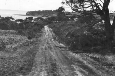 Photograph - Black and white photograph of gravel road, c.1953