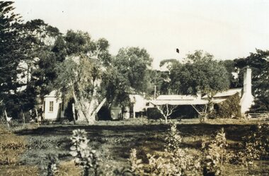 Photograph - Black and White Photograph of Amess House and Rogers' Cottages, Unknown