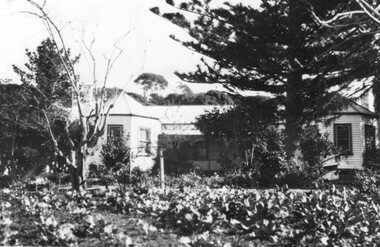 Photograph - Black and White Photograph of Amess House, Unknown