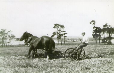 Photograph - Black and white photograph of a man on farm machinery, c.1940