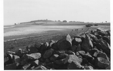 Photograph - Photograph of a shoreline, Unknown