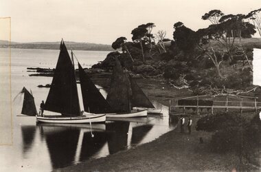 Photograph - Photograph of sailboats, c.1940