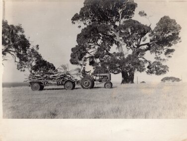Photograph - Ted Jenkins on tractor