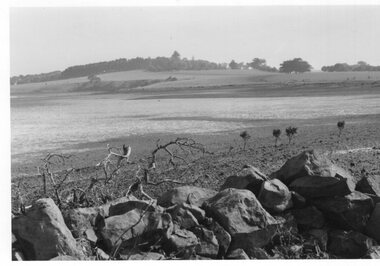 Photograph - Photograph of Churchill Island shoreline