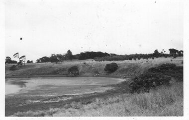 Photograph - Photograph of shoreline on Churchill Island