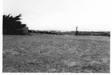 Photograph - Photograph of pasture