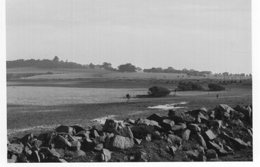 Photograph - Photograph of Churchill Island shoreline