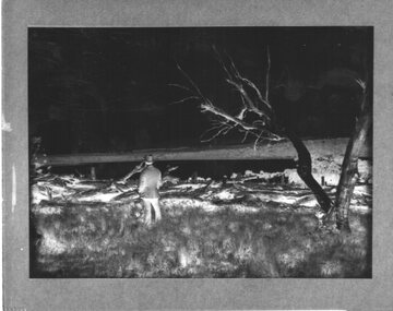 Negative of man standing near the shoreline