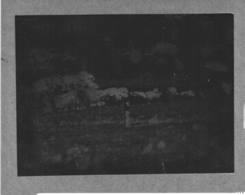 Negative of two men in a pasture