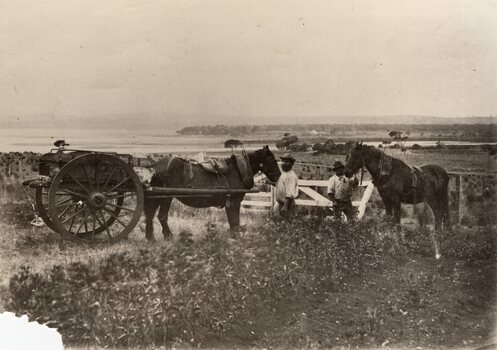 Photograph of two men and horses