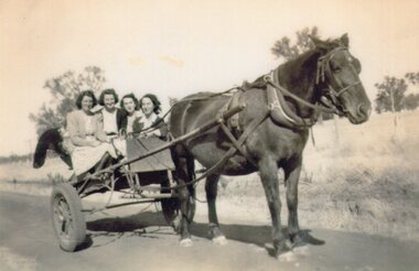 Photograph of women in a cart