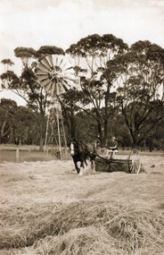 Photograph of woman gathering hay on horse