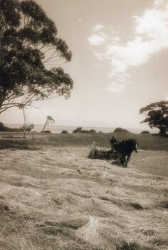 Photograph of woman gathering hay on horse