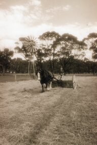 Photograph of woman raking hay with horse