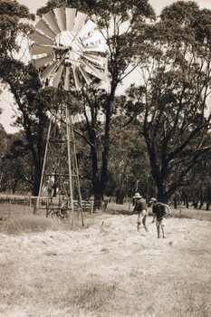 Photograph of two men manually raking hay