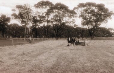 Photograph of person driving horse raking hay