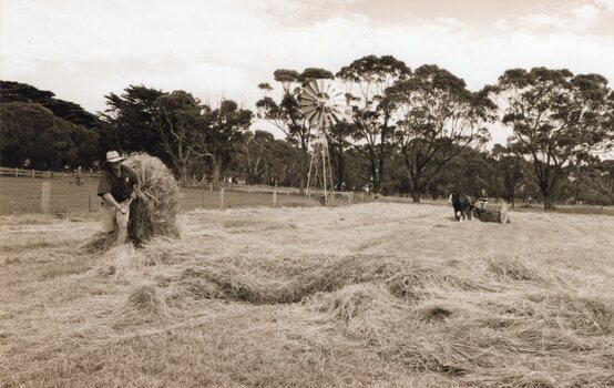 Photograph of group gathering hay