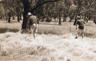 Photograph of two men raking hay