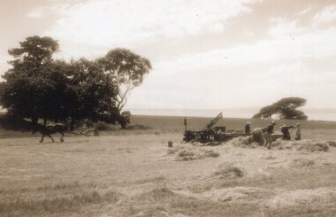 Photograph of a group of people baling hay