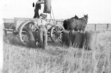 Photograph of two men loading hessian sacks