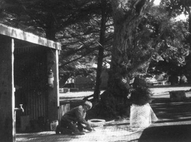 Photograph of person cutting chicken wire