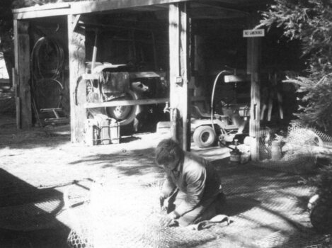 Photograph of person cutting chicken wire