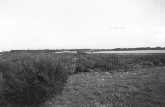 Photograph of a saltmarsh area