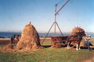 Photograph of haystack with Clydesdale