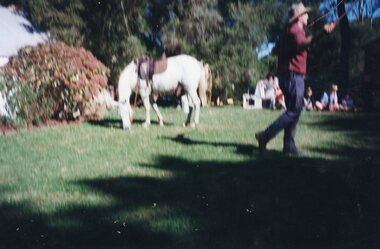 Photograph of white horse and man