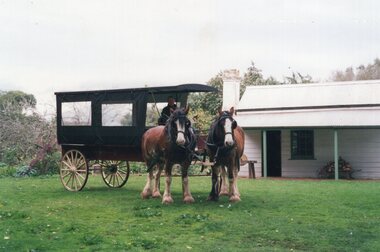 Photograph of covered cart and horses
