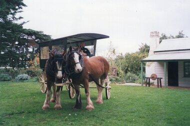 Photograph of covered cart and horses
