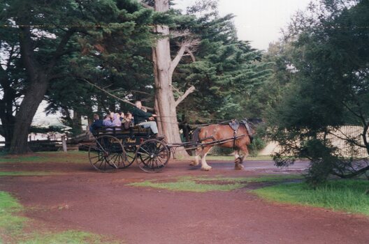 Photograph of group on cart driven by two horses