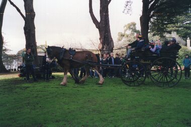 Photograph of group on cart driven by two horses